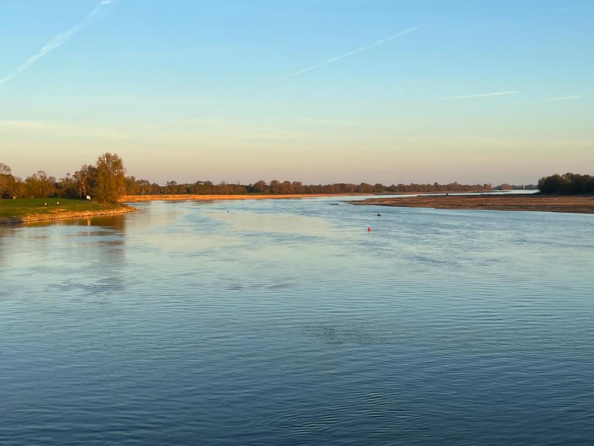 Gite Loirizon Vue Loire 4 Personnes Ingrandes  Exterior photo